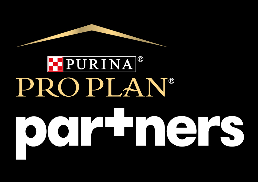 Logo PP Partners 300621